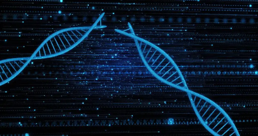 depositphotos 602657836 xl 1024x540 (1)